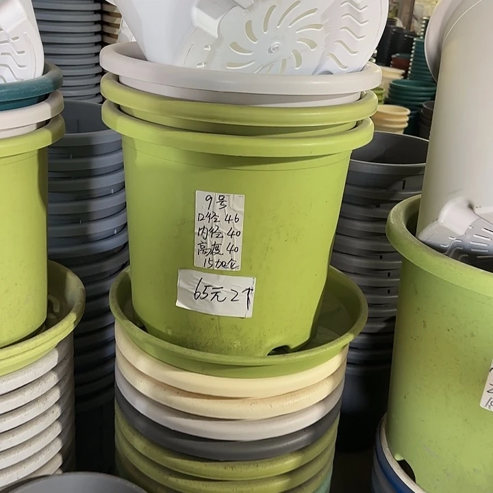 微瑕9#口径46无托果绿3个