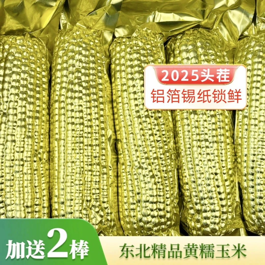 铝箔包装黑龙江甜糯玉米10棒*250g/棒 整箱5斤 人工挑选香甜软糯