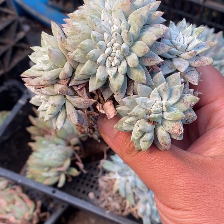 3561哈哈哈哈哈哈