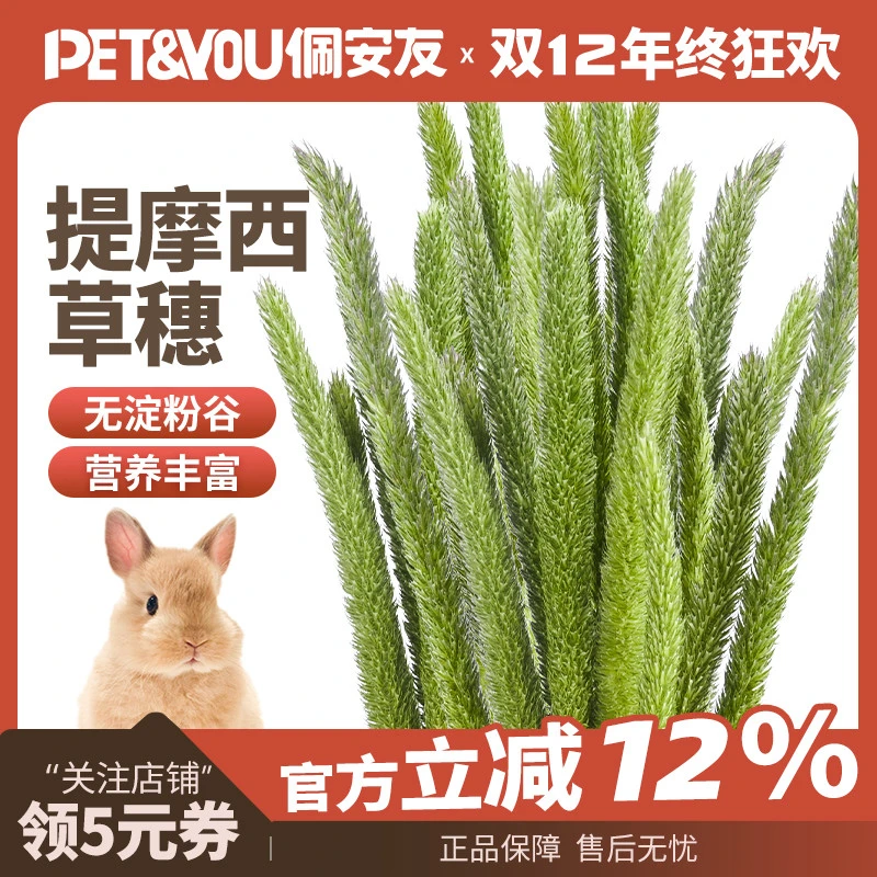 2025年烘干提摩西草草穗兔子龙猫豚鼠荷兰猪磨牙草穗子草香浓郁