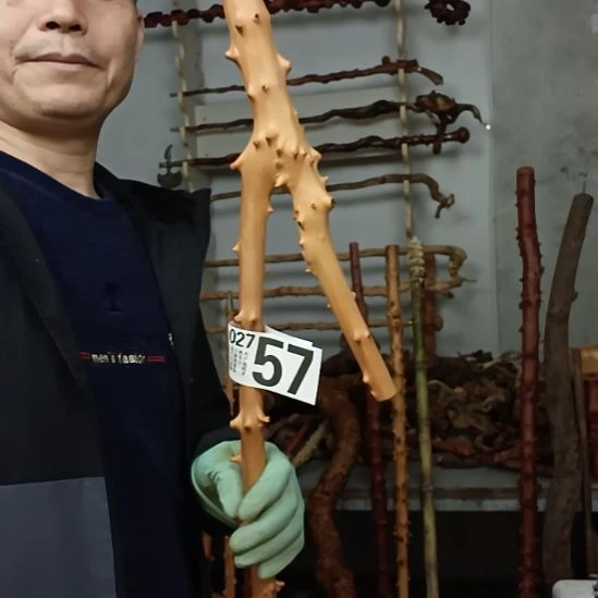 志***节香榧木高山 檬子木文玩料