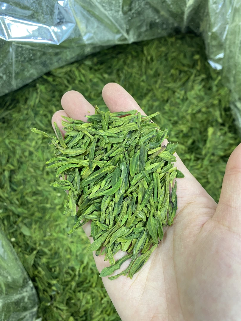 25年明前绿版龙三2-6-8 绿汤板栗香 一芽两叶鲜香醇厚口感超好