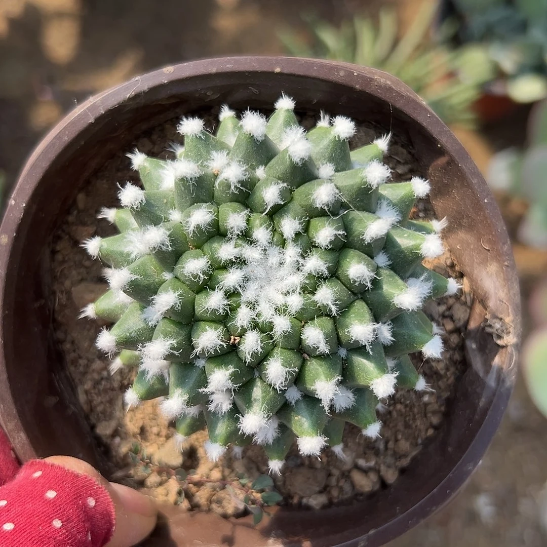 饿了呃呃呃呃呃呃呃呃哦