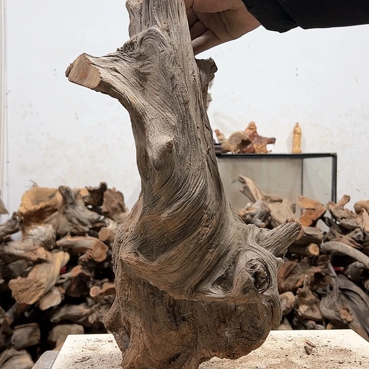 柏木好***好我们的生活也是如此的丰富