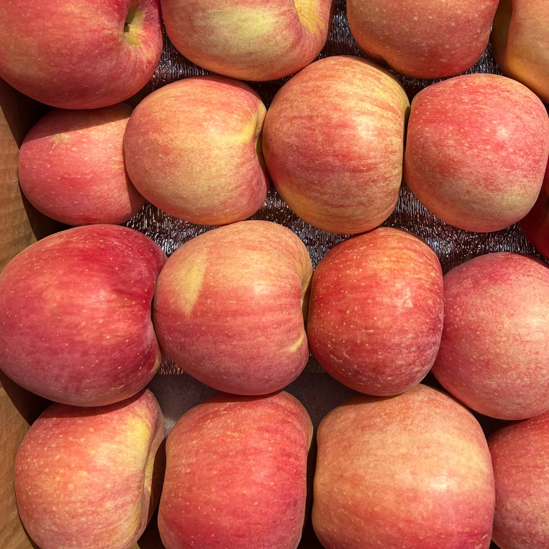 4.8-5斤大山里东北寒富苹果水果新鲜当季整箱红脆甜应季现季苹果