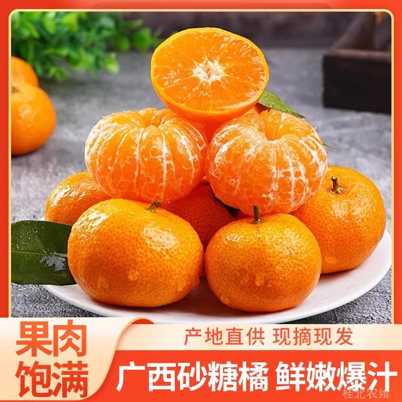 [开园促销]广西砂糖橘水果新鲜当季橘子纯甜金秋沙糖桔子甜多汁