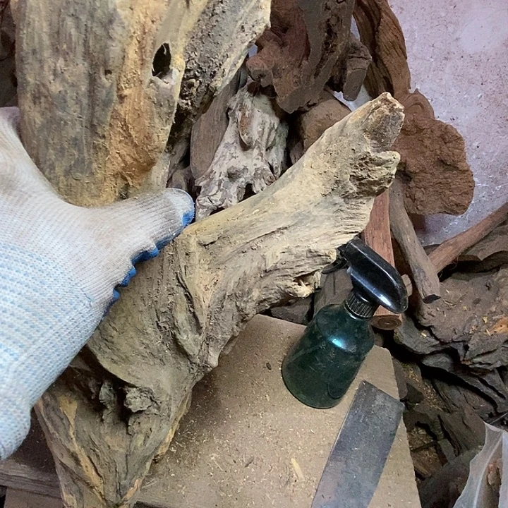 一***次贡木把件我是不是该去看