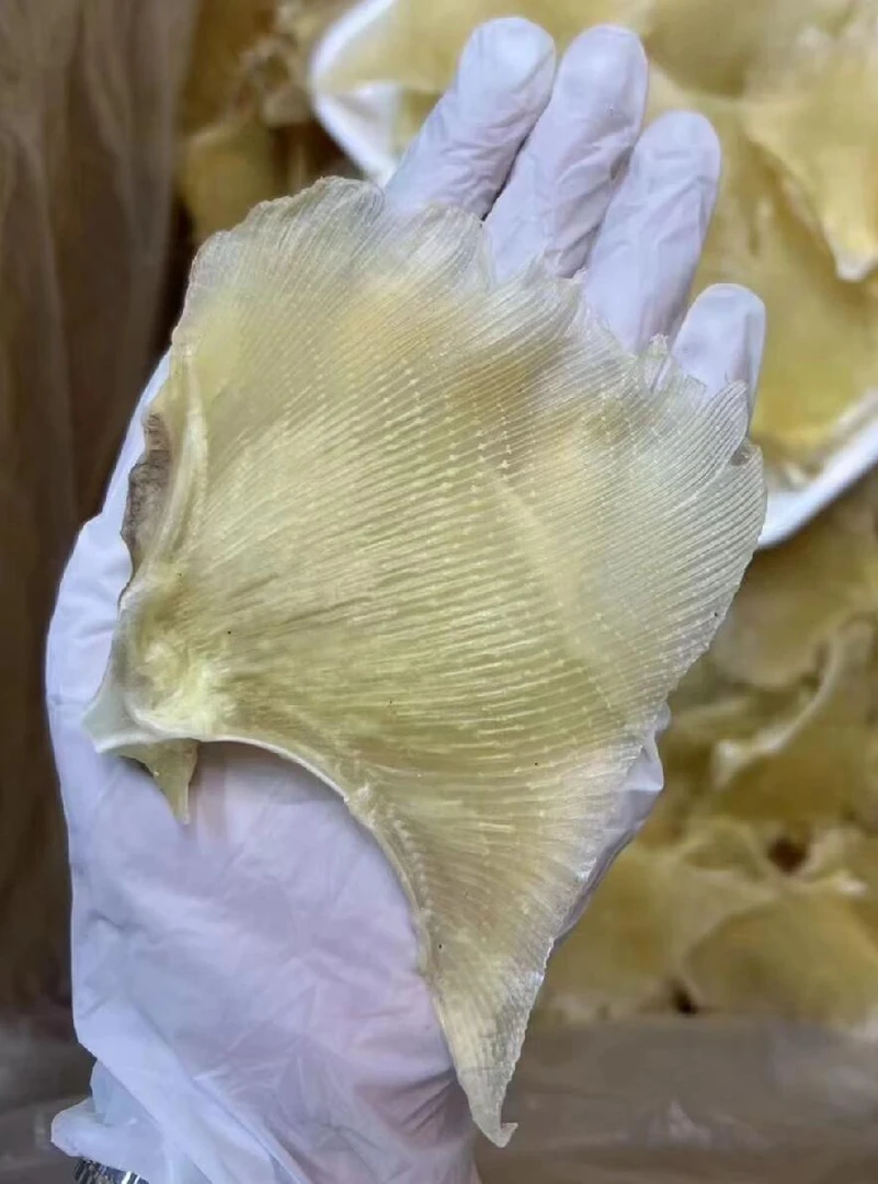 【特大号靓翅】精选靓翅干肉质新鲜煲汤鲜甜海产干货 5