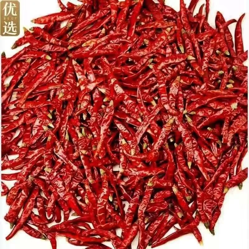 限量秒杀：30单特辣小米椒印度椒魔鬼椒干辣椒批发超辣椒粉微辣