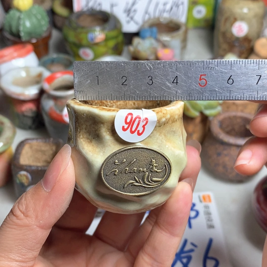 拍5送一个小礼物