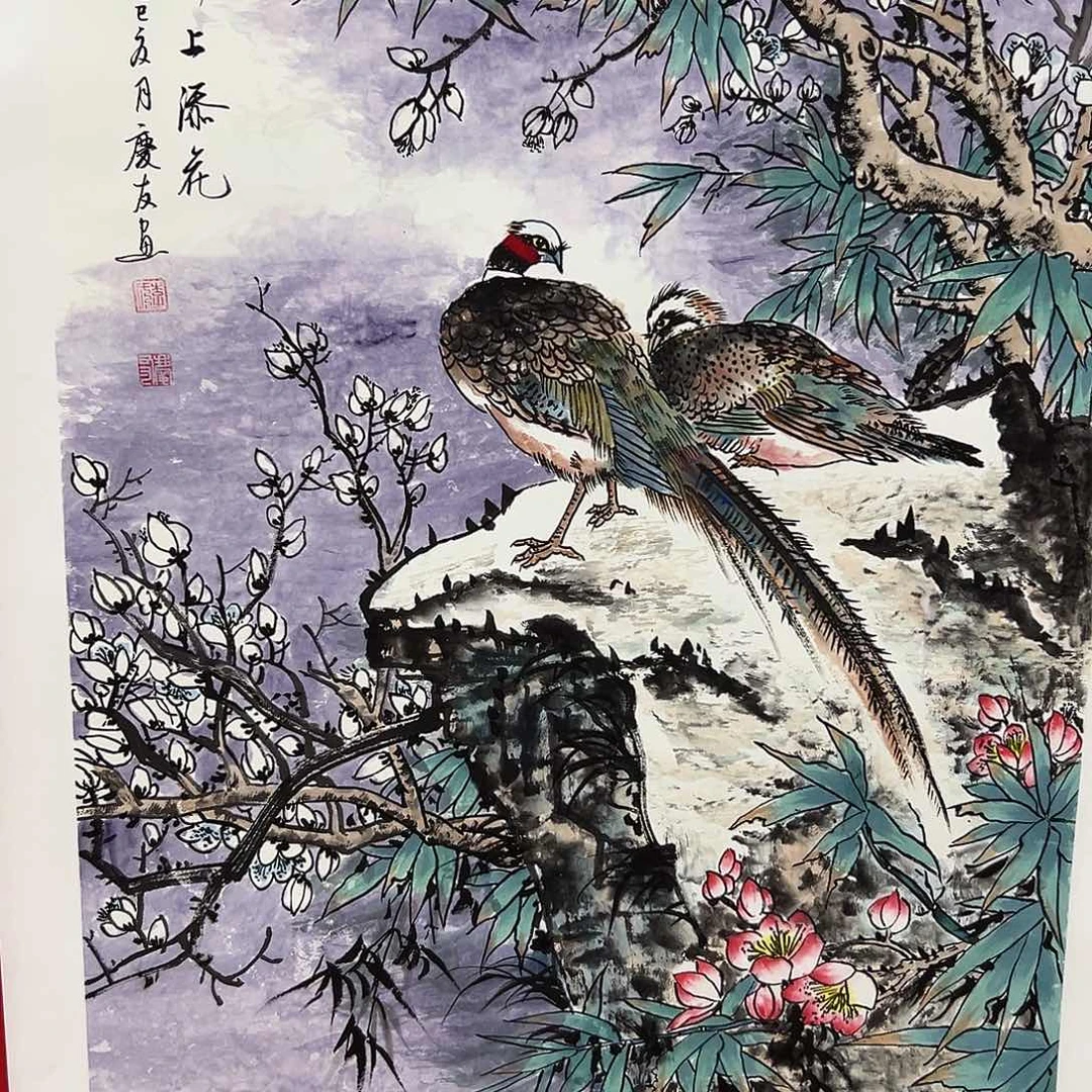 新号开播领福利了