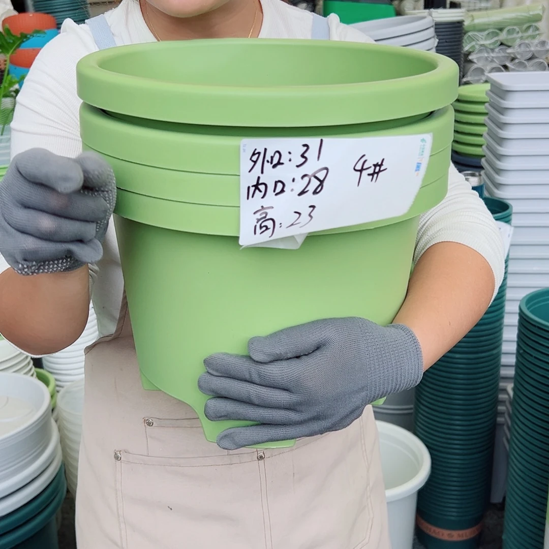 球根盆4#果绿色5个无托