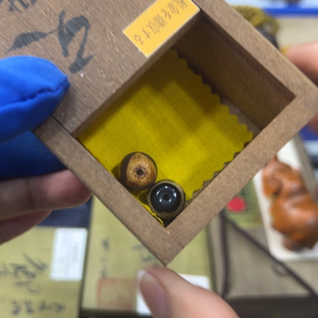 茶宠哈哈哈哈哈哈哈哈