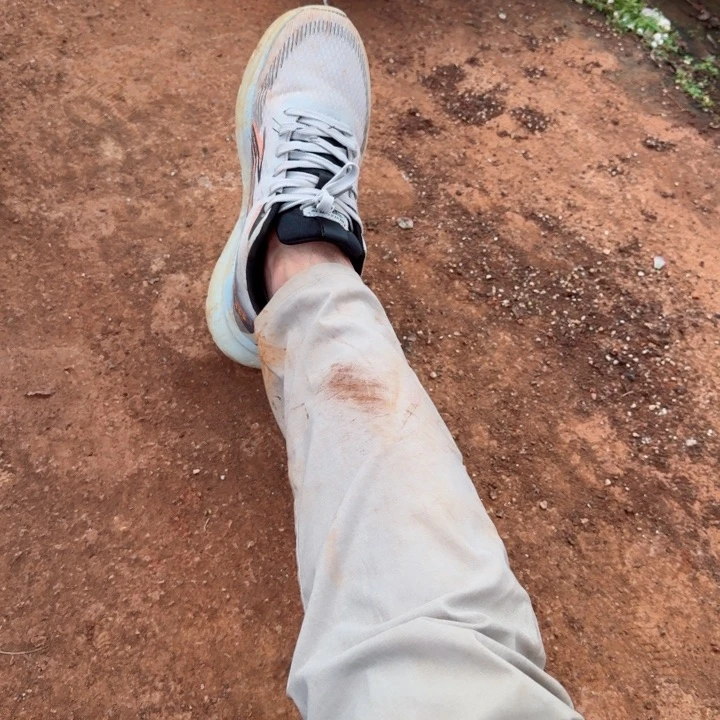 爱丽丝大猪头啊啊啊