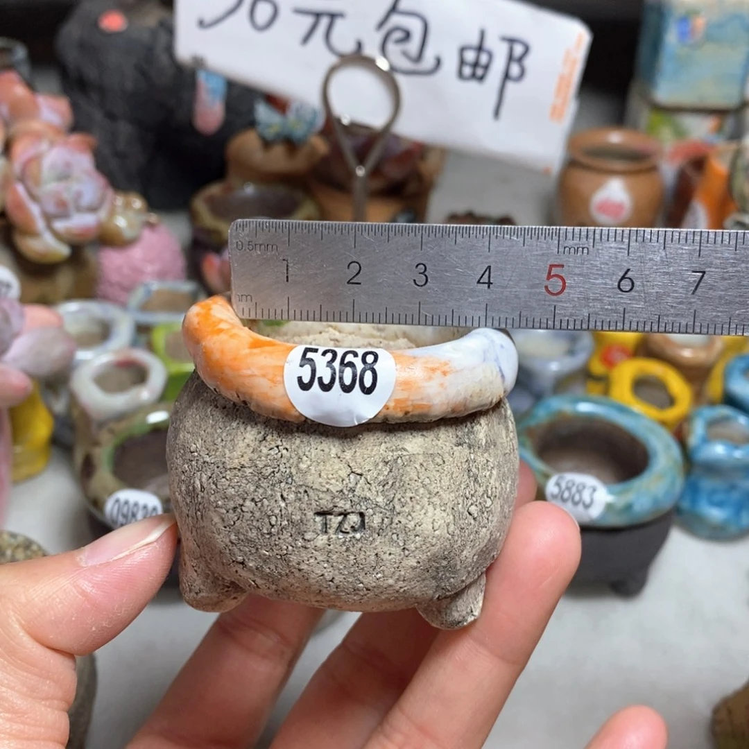 拍3送一个小礼物