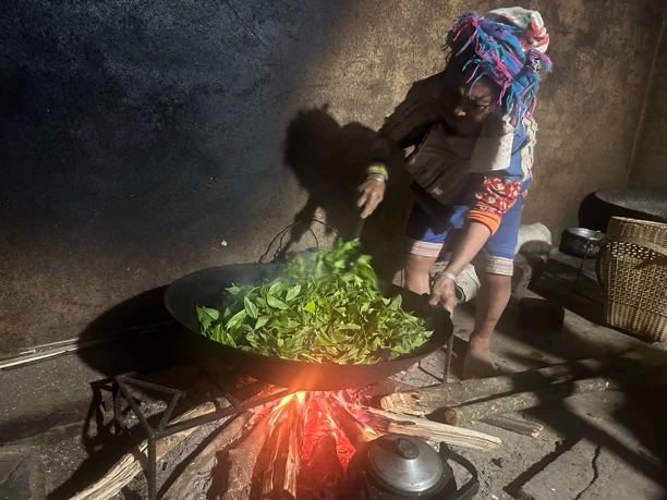 白水河2025年头春100年的树龄