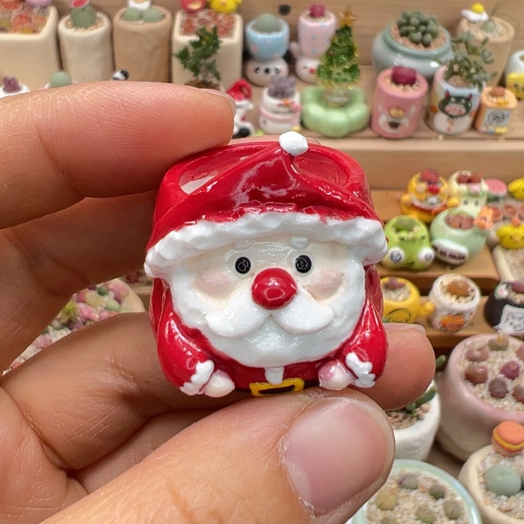 *****多肉植物54号种好