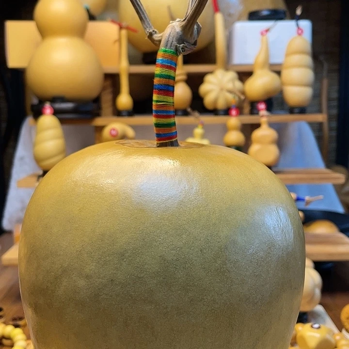 舒***晚天然葫芦自然生长