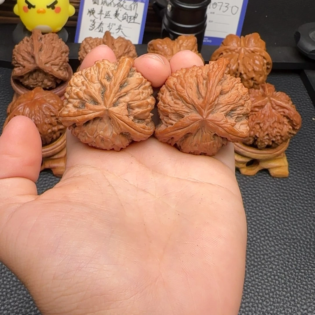 把件文玩核桃白狮子 37尺寸