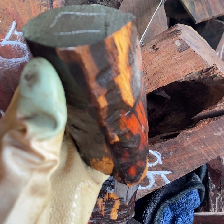 交趾黄檀（大红酸枝）田**光