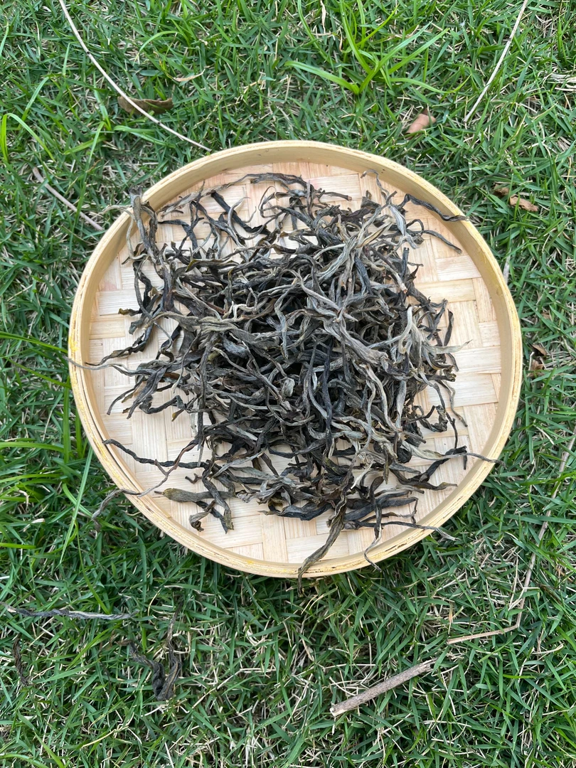 老班章古树头春2025年散茶300克