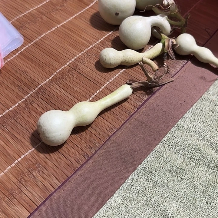十***年十年葫芦123466688889