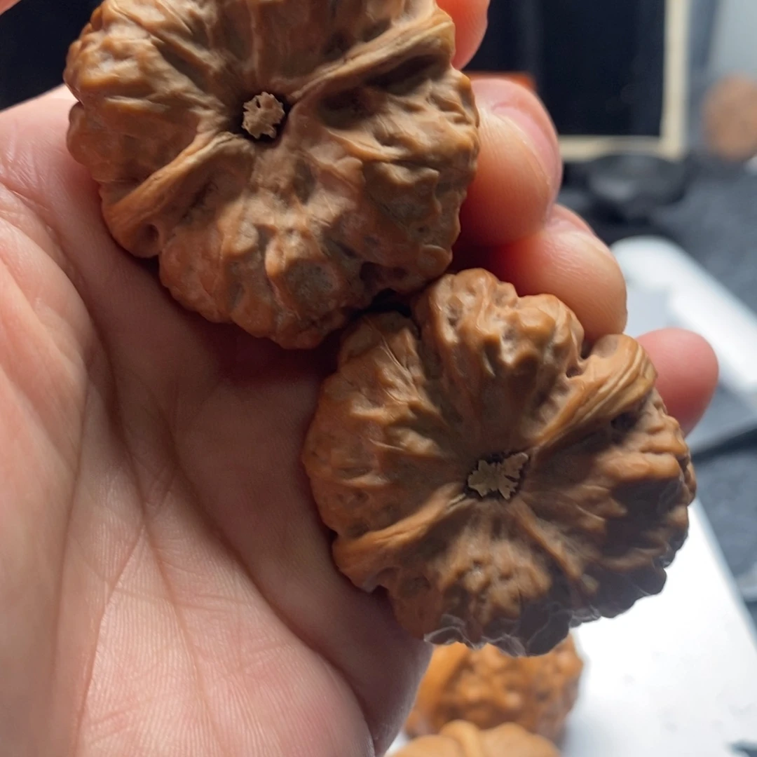 往***好的我真的是太喜欢了