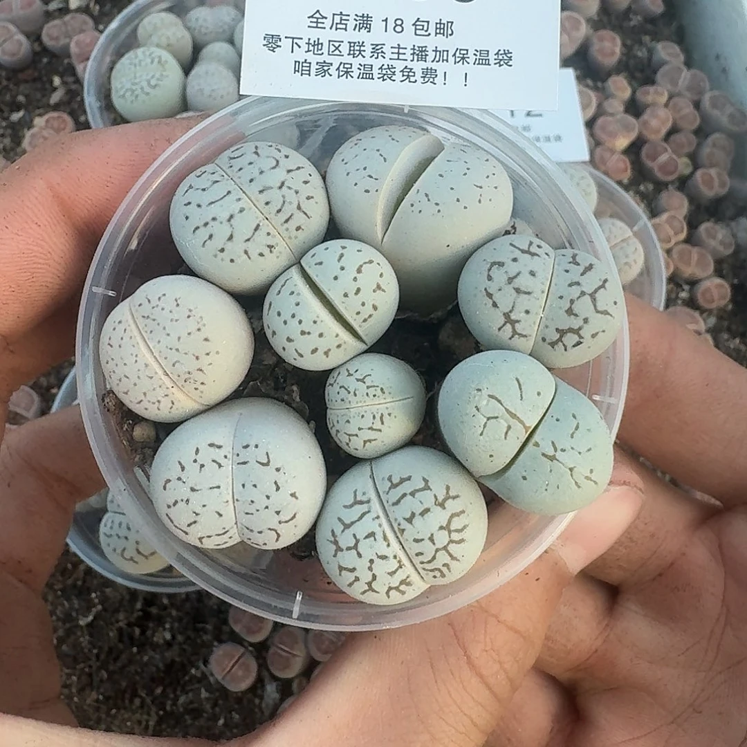 2709 哈哈哈哈哈哈哈