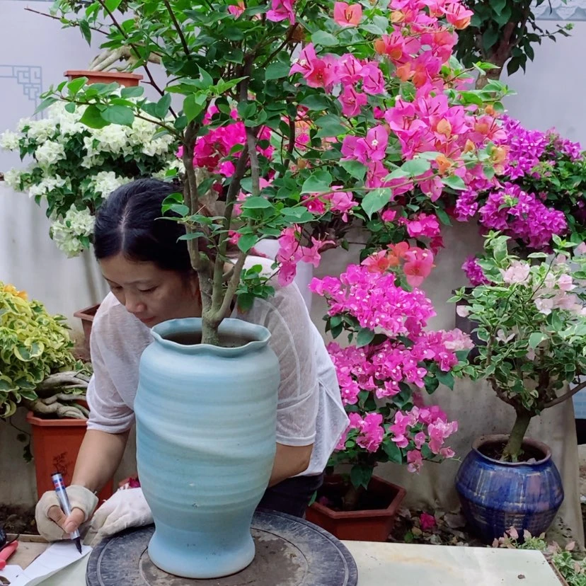 【闪购商品】完全开放