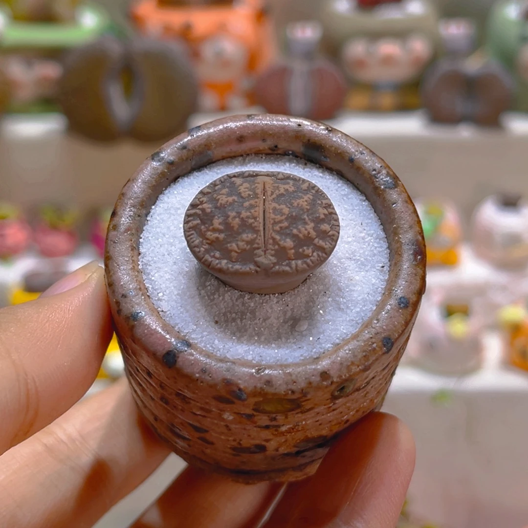 046黑变天带盆带土手工盆