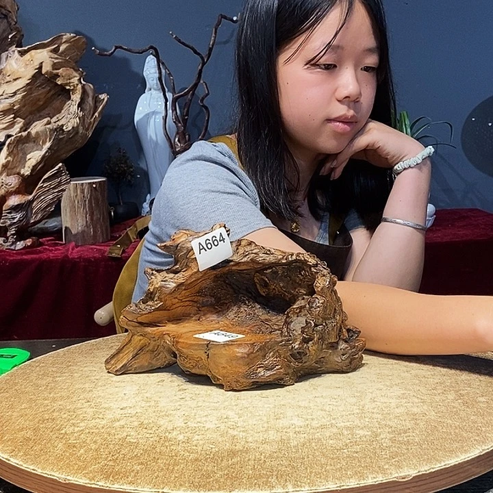 农****）664株木随行的小根艺