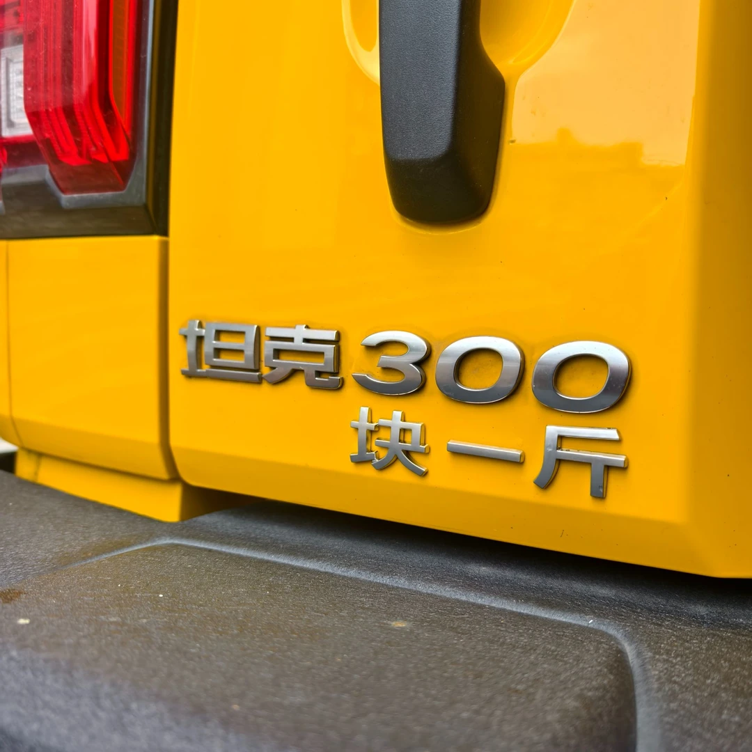 坦克300/400/500/700一斤块立体3D车尾标个性创意汽车装饰车标