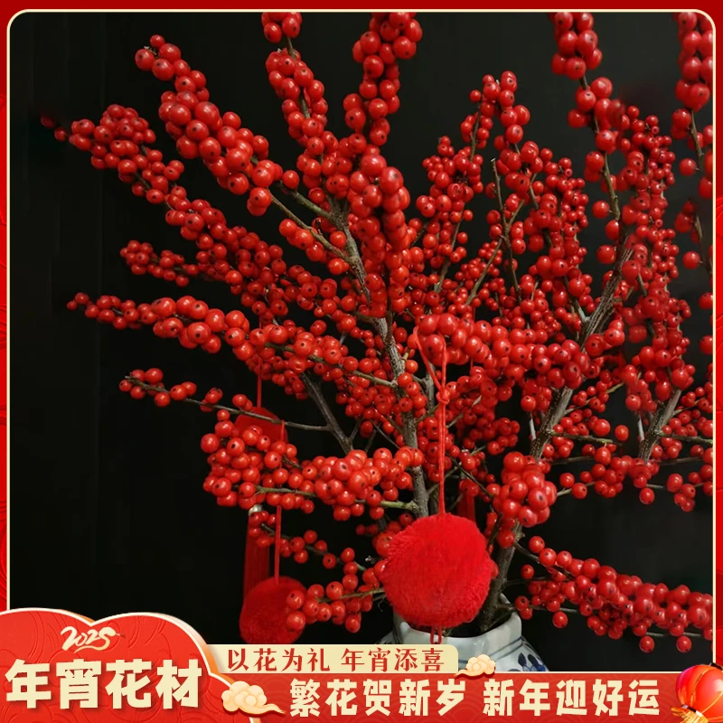 【云舍花卉】50A【冬青】【天物秋实系列】【容易掉豆介意勿拍】