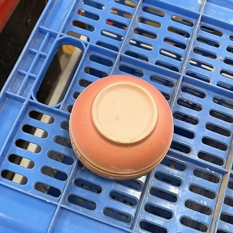 微瑕，4.5英寸8个碗针孔拖釉粉