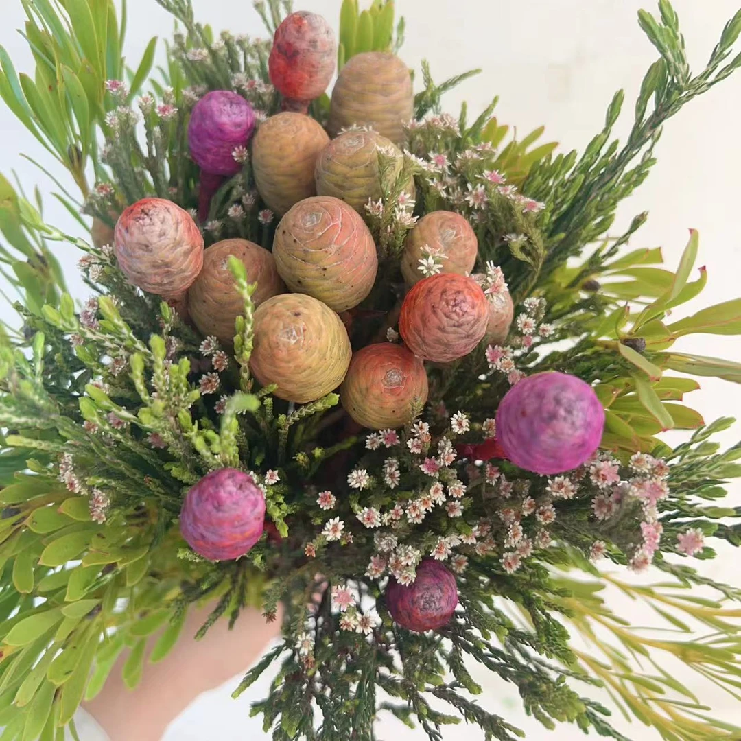 兰姐一花一瓶【进口果子花束】供佛家居皇家软装搭配 好养护花期长