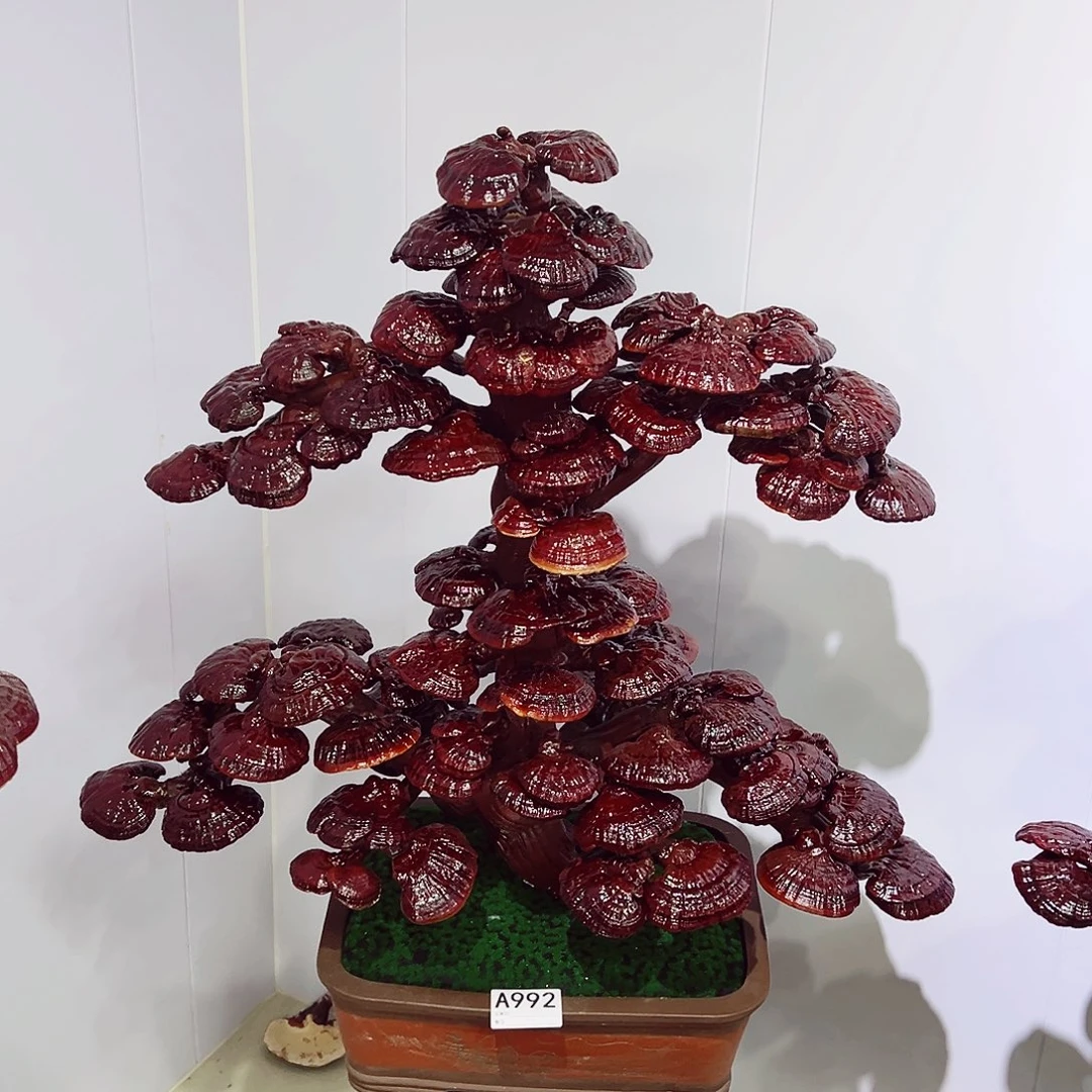 【闪购商品】全部花朵