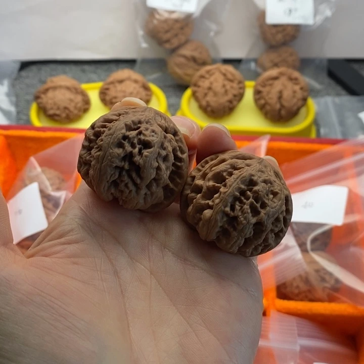 文玩核桃吊坠37粗筋