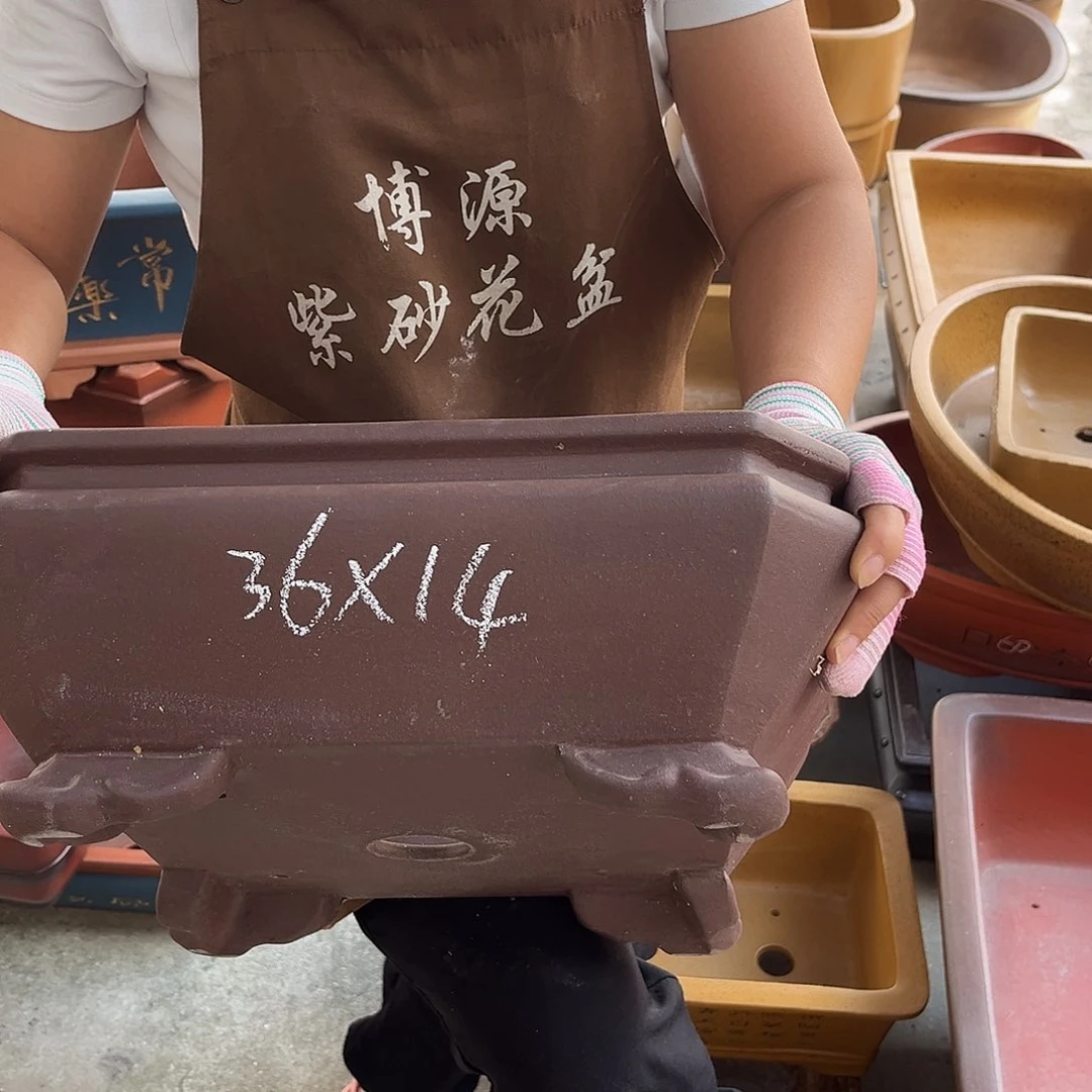 紫砂花盆盆景艺术