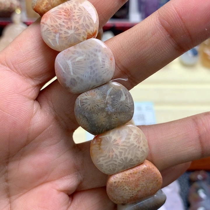 硅化珊瑚（珊瑚玉）未镶嵌颈饰