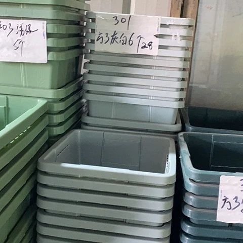 树脂编号301无托6个