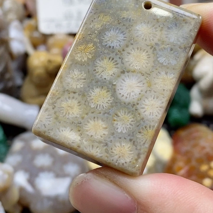 硅化珊瑚（珊瑚玉）颈饰未镶嵌