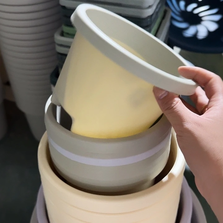 球根17口径10个无托灰白