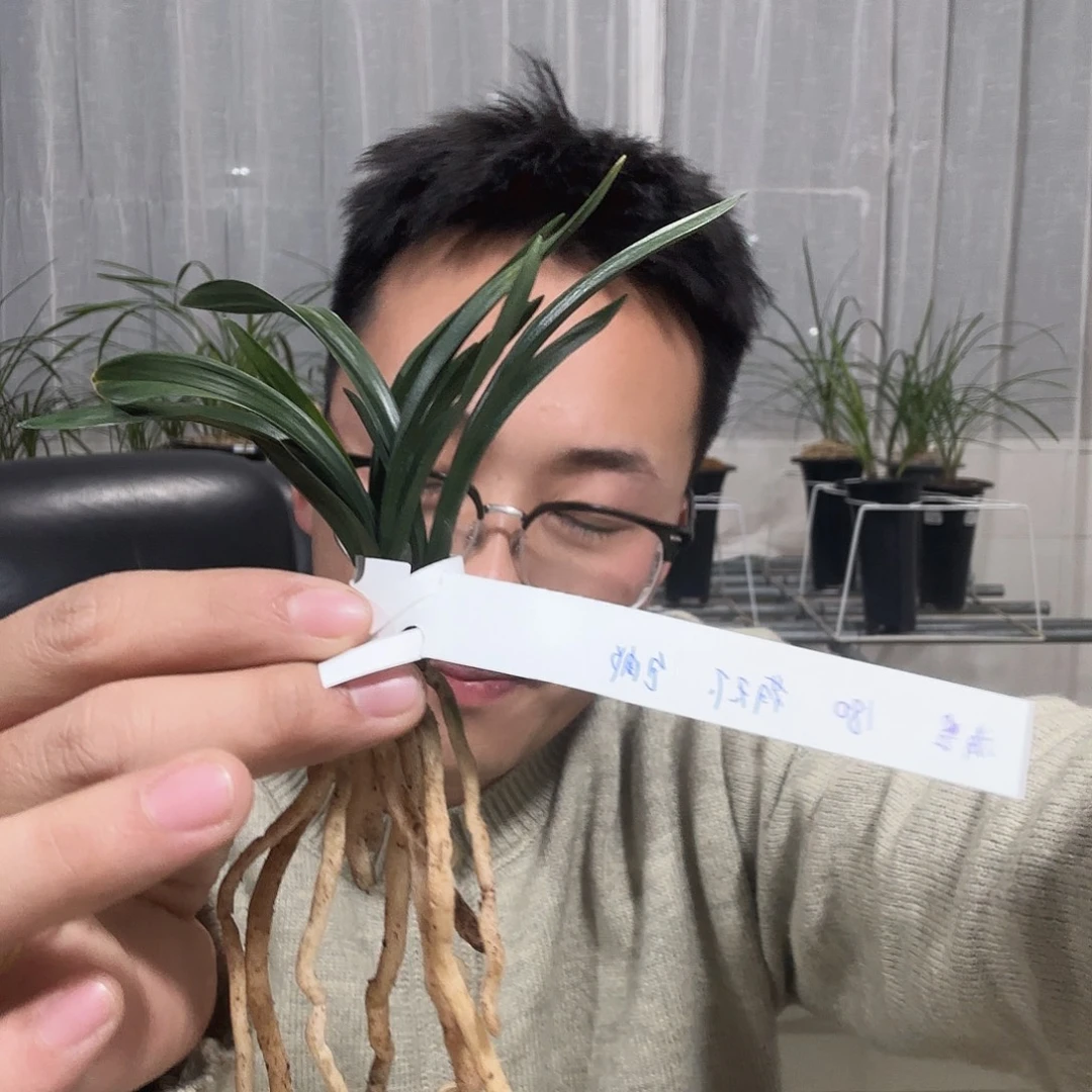 完全开放荷天下tekejy
