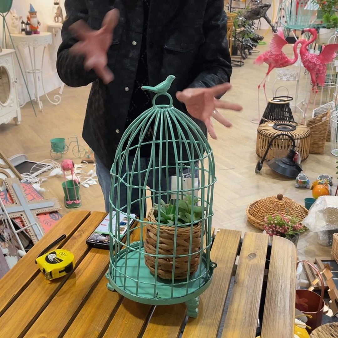 红陶红陶红陶红陶