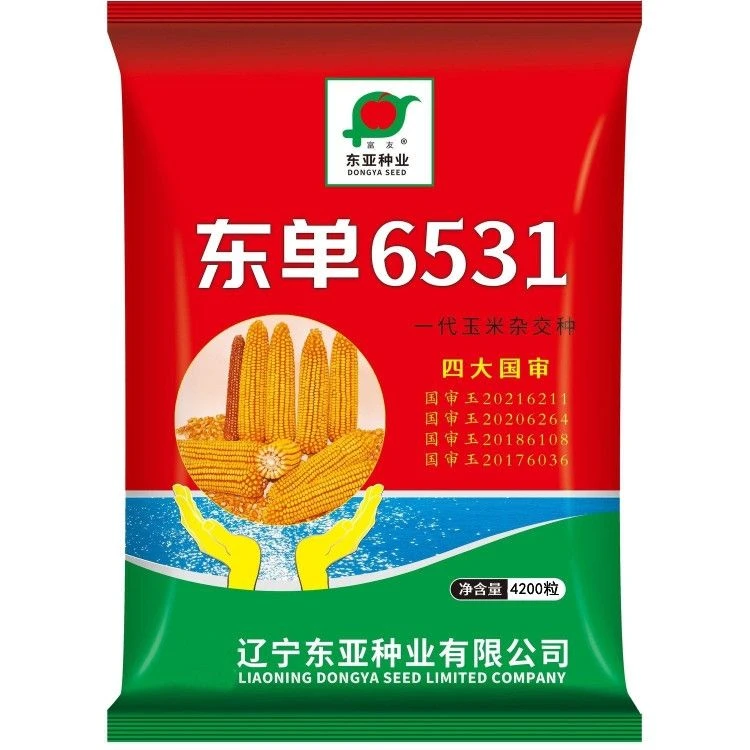 东单6531红轴大棒抗旱耐高温抗锈病种植种子