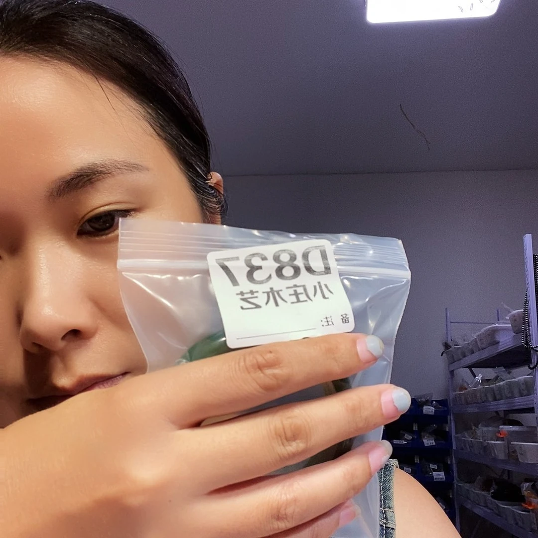 【闪购商品】张****法黑檀木，风车木837