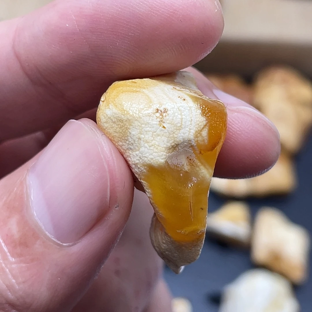 未镶嵌定制琥珀定制