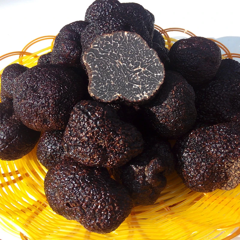 西藏林芝巴宜区黑松露顺丰包邮煲汤泡酒刺身食材