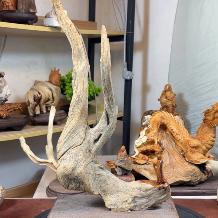 柏木（崖柏）fhbvghhhhj