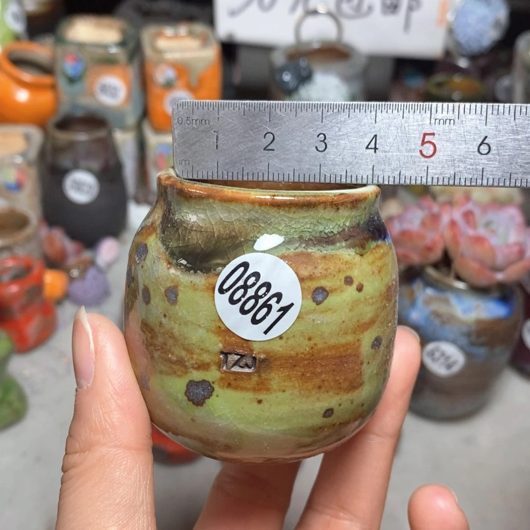拍5送一个小礼物花盆